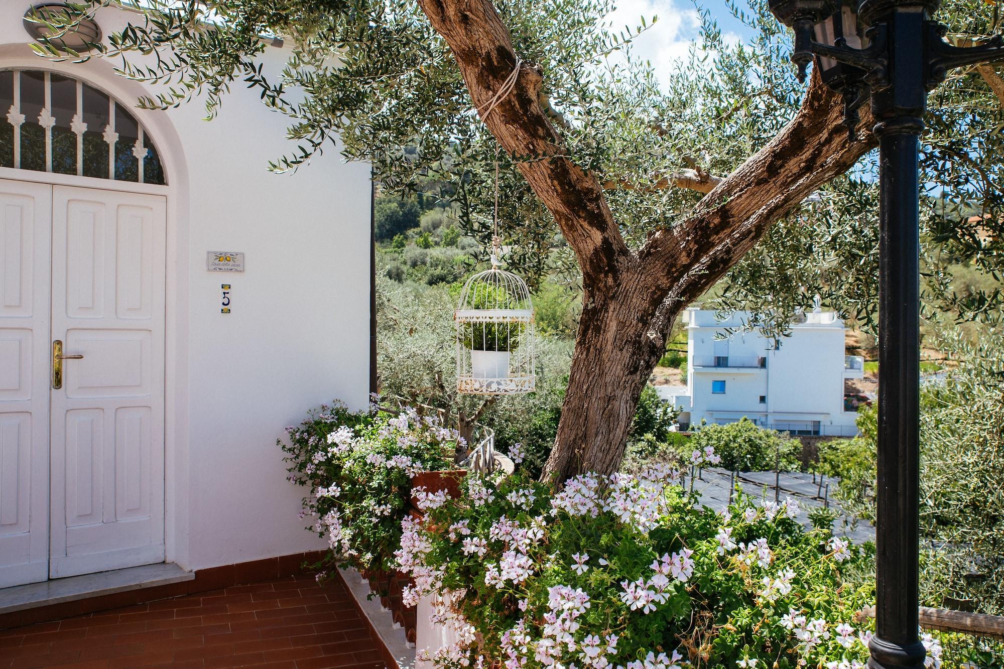 Villa Carolina Sorrento Private Heated Pool And Sea View Dış mekan fotoğraf